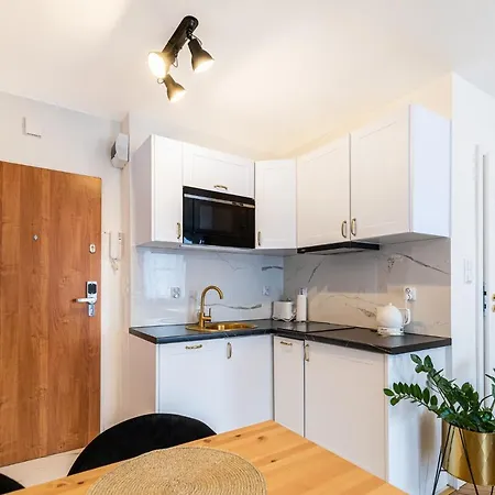 Apartment Olawska *
